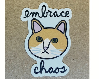 embrace chaos cat sticker
