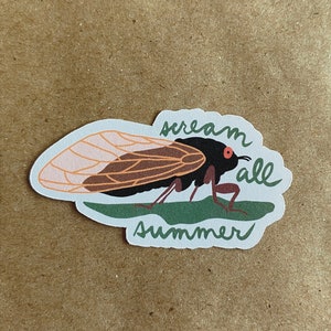 cicada scream all summer sticker