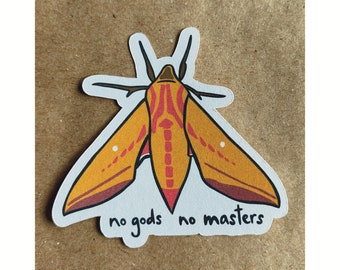 no gods no masters moth sticker