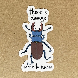 A paper sticker of my own original art of a stag beetle with hand lettering of the words "there is always more to know."