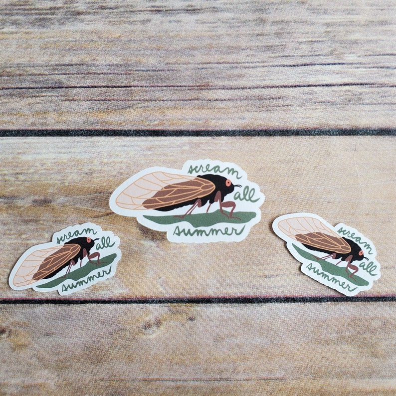 Cicada Scream All Summer Sticker - Etsy