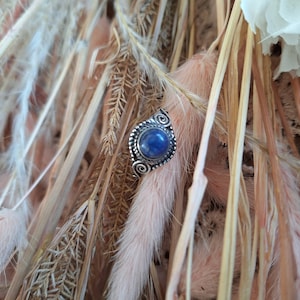 Peut inclure: Bague argentée ornée d'une pierre bleue foncée et ronde. La bague présente un motif tourbillonnant ornemental. Le fond est composé de fleurs séchées roses, beiges et brunes.