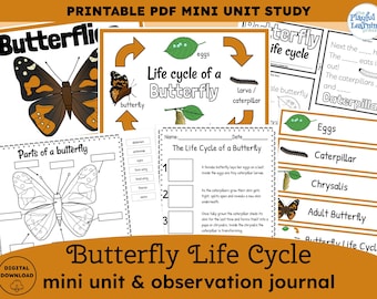 Painted Lady Butterfly Life Cycle Unit: Homeschool Nature Study. Butterfly life cycle worksheets and activities for Spring (Printable PDF)