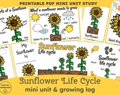 Sunflower Plant Life Cycle Unit: Homeschool Science & Nature Study for Spring or Summer. Plant life cycle worksheets and activities