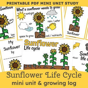 Sunflower Plant Life Cycle Unit: Homeschool Science & Nature Study (Printable PDF)