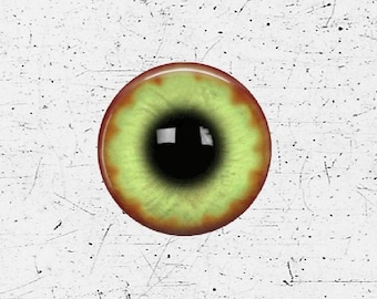 Zombie Eye - Glass Image Cabochon - Choice of 12mm, 16mm, 18mm, 20mm, 25mm and 30mm Round - Zombie eyes, Zombies, Zombie Eye Cabochon