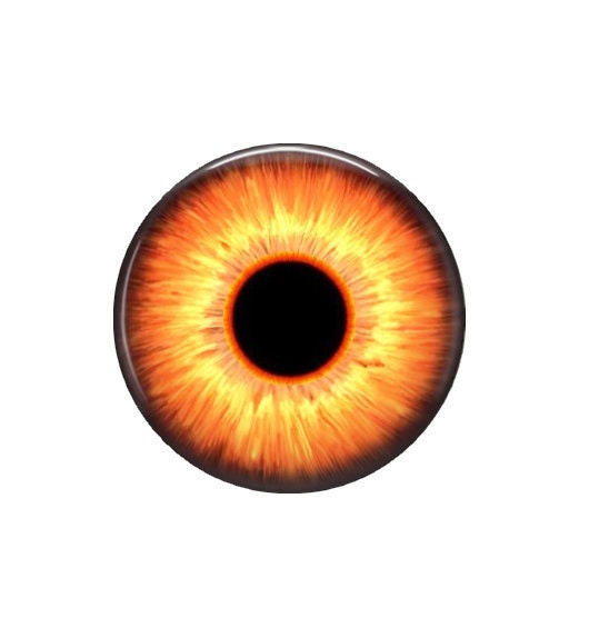 Owl Eye - Glass Image Cabochon - Choice of 12mm, 16mm, 18mm, 20mm, 25mm and 30mm Round - Orange Owl
