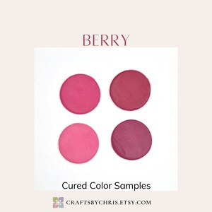 Berry Color Palette Premo Polymer Clay Color Recipes image 2