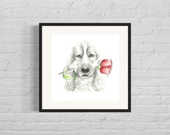 Chien tenant une rose rouge dans sa gueule - idéal pour la Saint-Valentin, les anniversaires et la fête des mères - impression originale de dessin au crayon dessiné à la main (sans cadre)