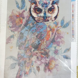 May include: A diamond painting kit featuring an owl with a colorful floral design. The kit includes a canvas, rhinestones, and instructions. The canvas is 30 inches by 40 inches.