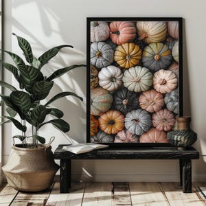 May include: A close-up image of a collection of various colored pumpkins. The pumpkins are arranged in a random pattern and are all different sizes and shapes. The pumpkins are a mix of orange, white, green, and pink.