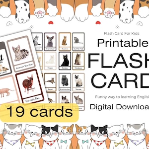 Cat breeds | Animal Flashcards | Flashcards | Preschool Memory Game | Cats Flashcards for Kids | Learn Animal | Printable | Kids Flashcard