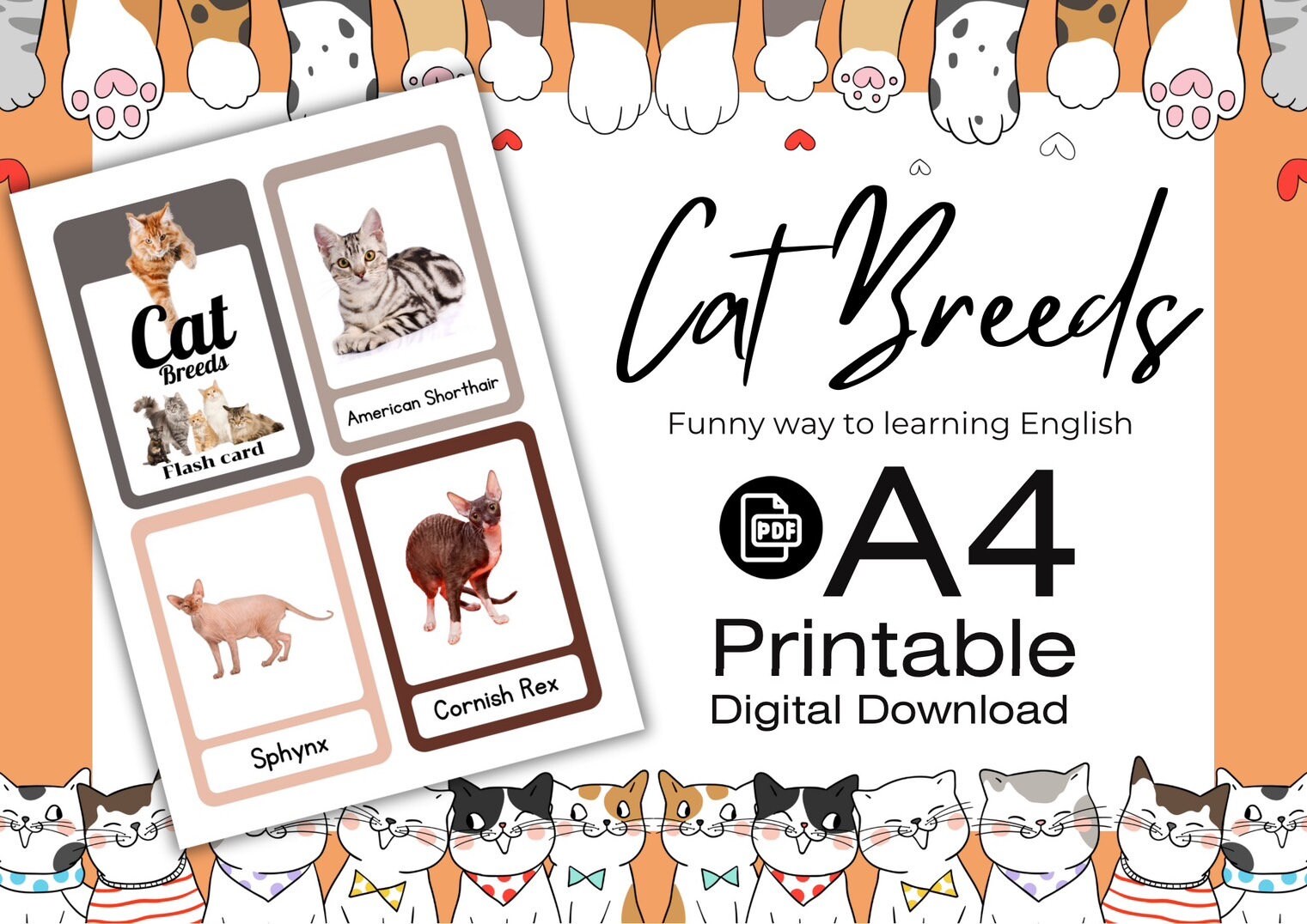 Cat Breeds | Animal Flashcards | Flashcards | Preschool Memory Game ...