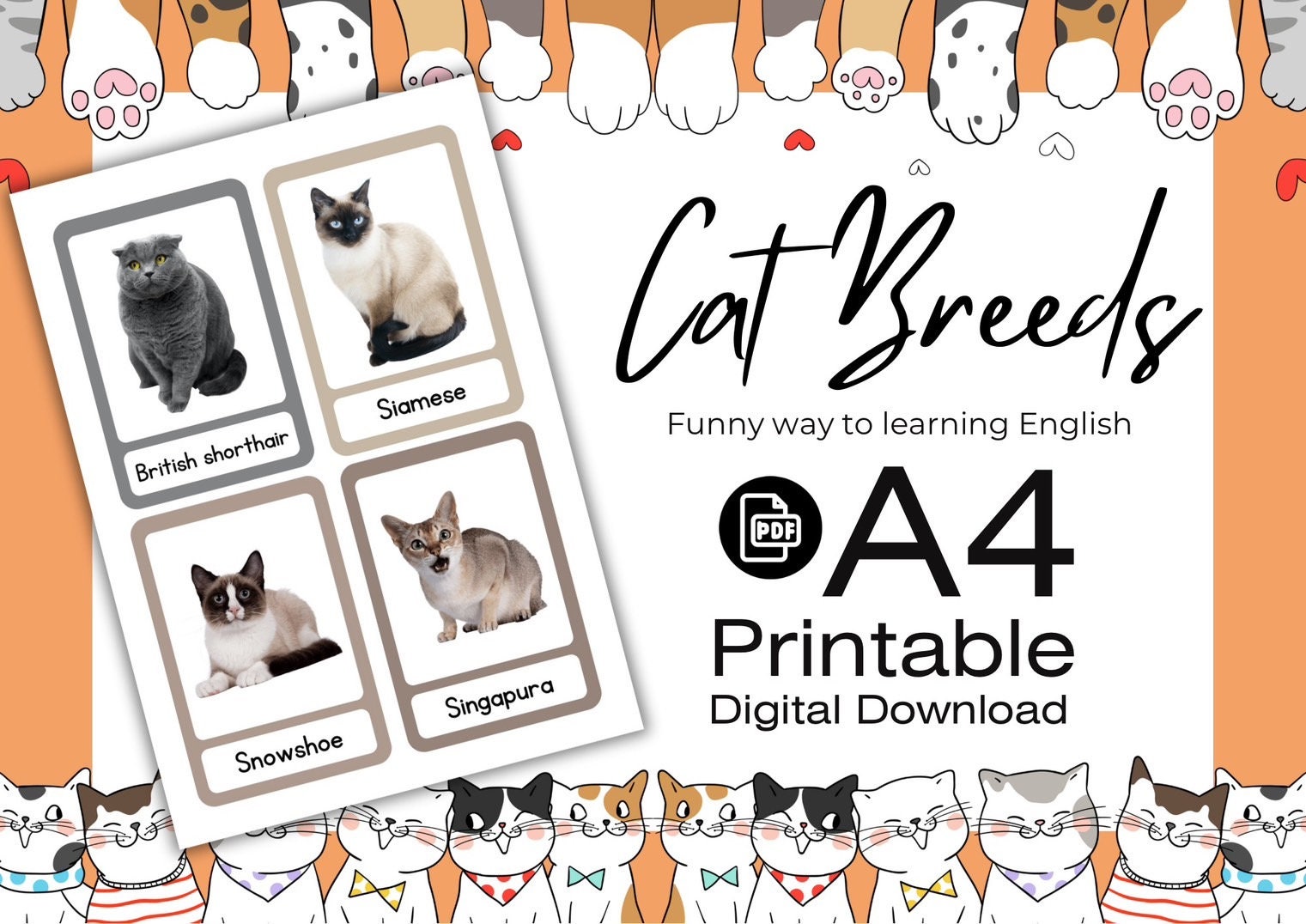 Cat Breeds | Animal Flashcards | Flashcards | Preschool Memory Game ...