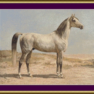 Arabian Horse - Counted Cross Stitch Pattern