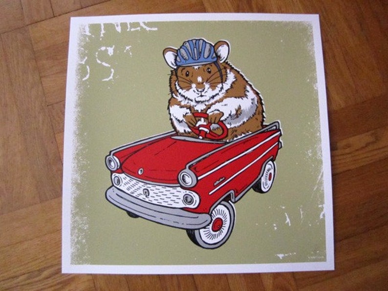 Hamster Guinea Pig Hot Rod Red Car Safety First Helmet Critter Etsy