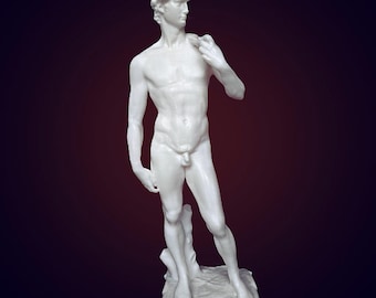 ミケランジェロのダビデ像の石膏像、目の彫刻。男性彫刻、室内装飾