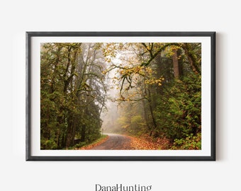 PNW Forest Photo, Moody Autumn Trees Print, Washington State Wall Art, Pacific Northwest Gifts