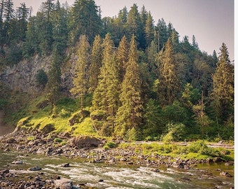 Washington State Photography, Pacific Northwest Decor, Snoqualmie River Photo, PNW Forest Print