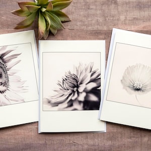 Ensemble de cartes pour notes photo botaniques, cartes de voeux photo fleurs en noir et blanc avec enveloppes, papeterie faite main