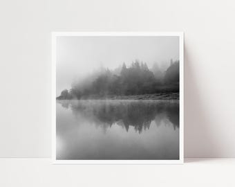 May include: A square black and white photograph featuring a dense forest line shrouded in thick fog. The trees are reflected clearly in the calm, still water below, creating a symmetrical composition with soft gray tones and high contrast.