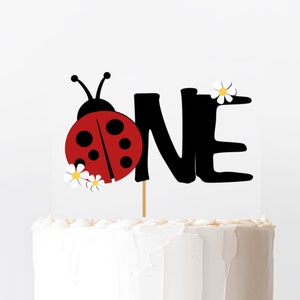 Miraculous Lady Bug Edible Image for Cake — Choco House