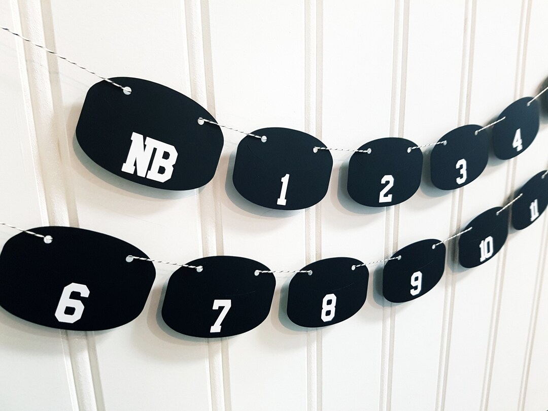 First Birthday Milestone Hockey Puck Banner. Newborn to 12 Photo Banner ...