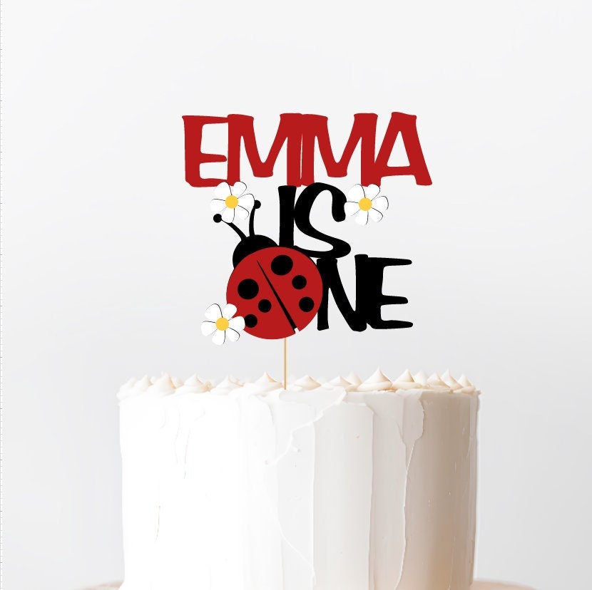 L'anniversaire Miraculous LadyBug d'Emma