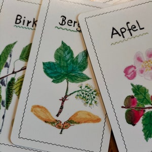 Kartenset,Orakelkarten, Baumorakel, Spiritualität, Bäume, Natur, Waldbaden