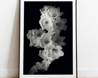 Limited Edition Fine Art Photographic Print. 'Smoke Flowers, haiku No 6'