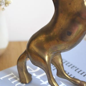 May include: A brass animal figurine with a smooth, metallic surface and a warm, golden-brown patina. The sculpture depicts the lower body and hind legs of a four-legged creature, showing a curved silhouette and a polished, reflective finish.