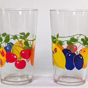 Vintage VMC Reims Fruit Glass Tumblers Set of Two (70s)