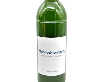 Nannochloropsis phytoplankton