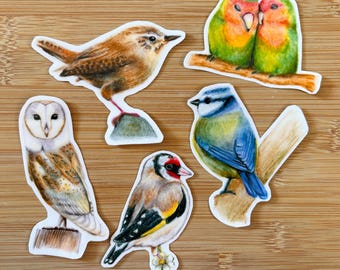 イギリスの鳥のステッカー - メンフクロウ、ミソサザイ、ラブバード、ゴシキヒワ、アオガラ、コキンメフクロウ