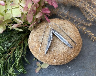 Hosta Seed Pods Recycled Sterling Silver Earrings