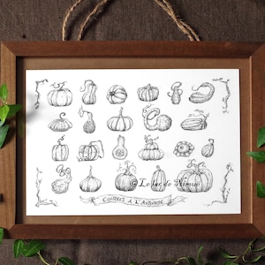 Zucca autunnale - Stampa d'arte originale | Decorazione botanica, cucina autunnale, zucca, zucchino, giardino naturale Ottobre