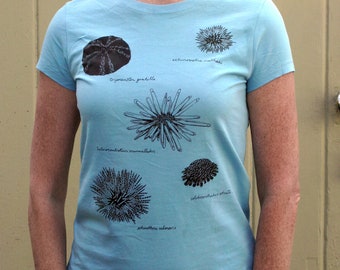 women's sea urchin tshirt  - natural history illustration