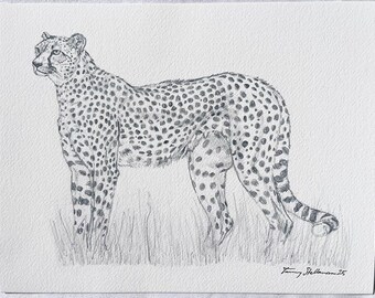 Cheetah giclée print