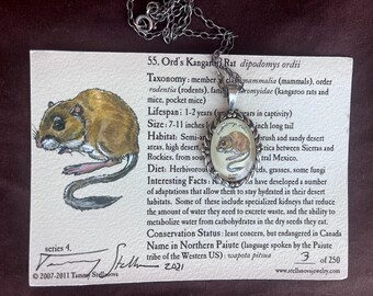Kangaroo rat pendant: natural history illustration jewelry