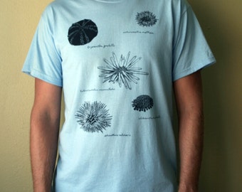 Men's large sea urchin t-shirt - natural history illustration
