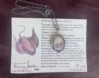 Bat ray pendant - natural history illustration jewelry