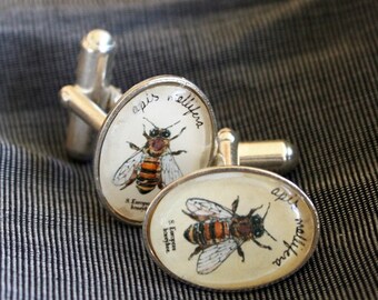 Bee cufflinks - natural history jewelry