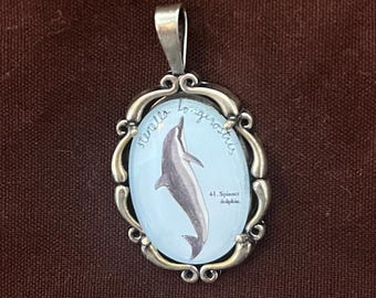 Spinner dolphin pendant - natural history illustration jewelry