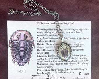 Trilobite pendant - natural history illustration jewelry