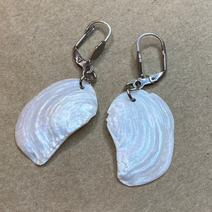 以下が含まれることがあります： 銀色のレバーバック留め具が付いた、白い虹色の貝殻のイヤリングのペアです。