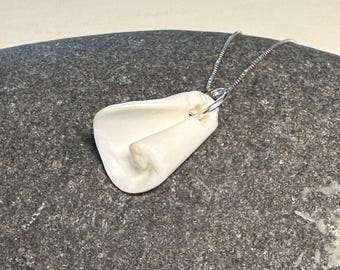 Sea Shell Necklace - MARCEL
