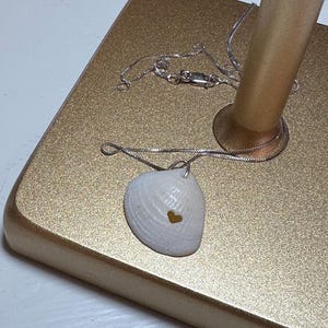 May include: A silver chain necklace with a seashell pendant. The seashell is white and has a small gold heart in the center.