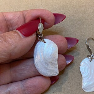 以下が含まれることがあります： 銀色のフックが付いた白い貝殻のイヤリングのペア。貝殻は虹色で、自然で有機的な質感があります。
