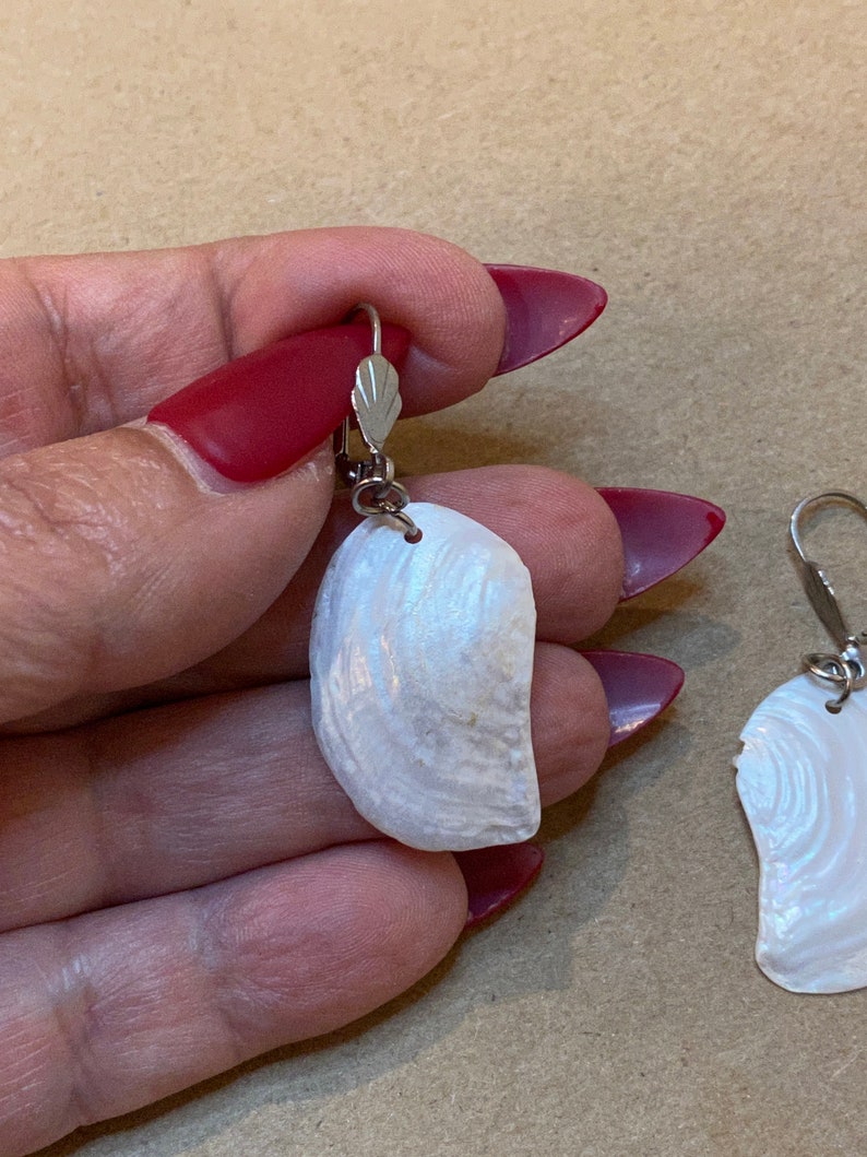 以下が含まれることがあります： 銀色のフックが付いた白い貝殻のイヤリングのペア。貝殻は虹色で、自然で有機的な質感があります。