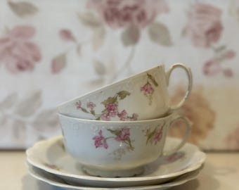 Antike MZ Austria Habsburg BT Feinporzellan Teetasse und Untertasse ~ 2 Sets ~ 4 Stück